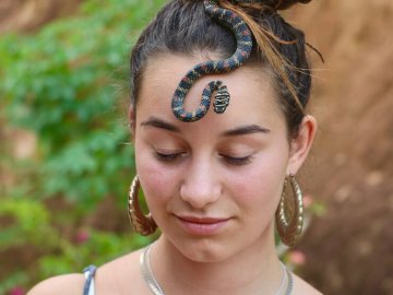 Snake Farm