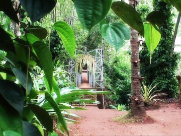 Herbal and Spice garden 