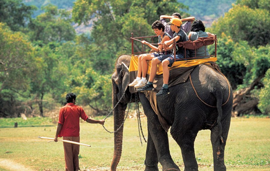 Elephant Back Safari