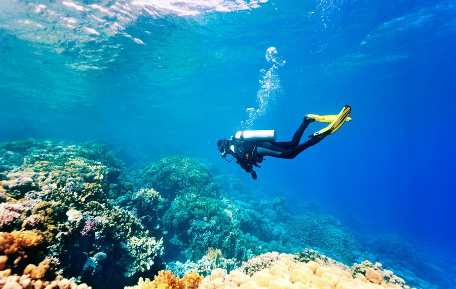 Diving