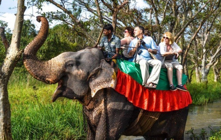 Elephant Back Safari