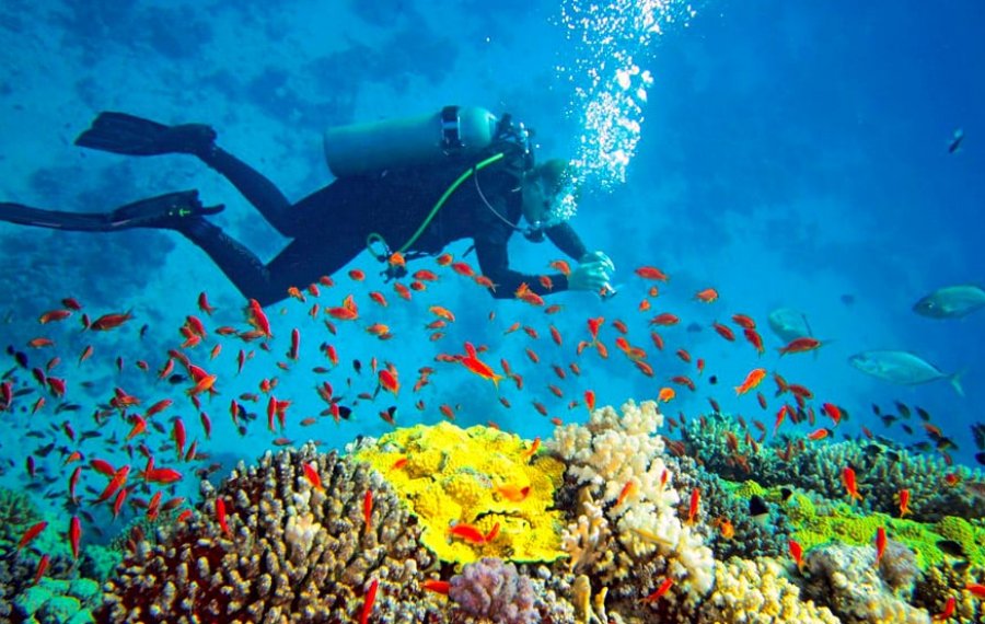 Snorkeling