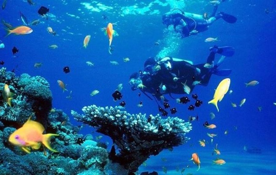 Snorkeling