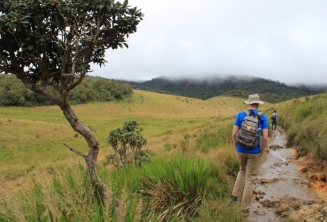 HORTON PLAINS