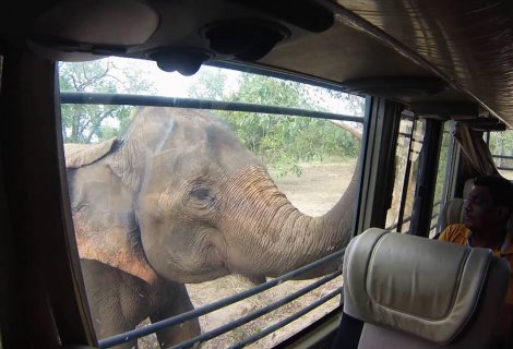 RIDIYAGAMA SAFARI