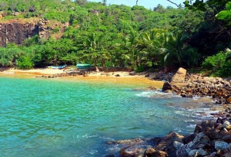 JUNGLE BEACH