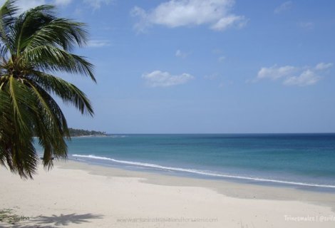 TRINCOMALEE