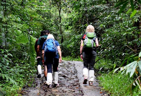 SINHARAJA RAIN FOREST