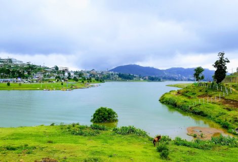 NUWARA ELIYA