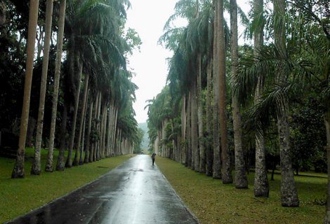 ROYAL BOTANICAL GARDEN 