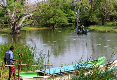 HABARANA