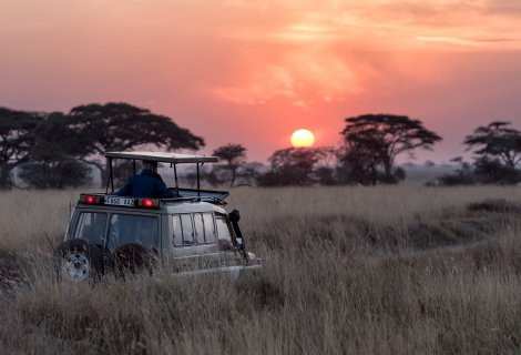 RIDIYAGAMA SAFARI