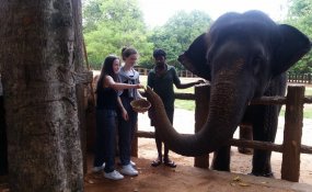 Sri Lanka for holiday