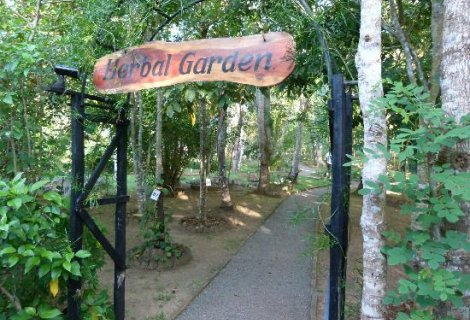 Herbal Garden 