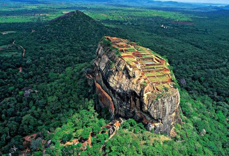 Sigiriya Rock Forest