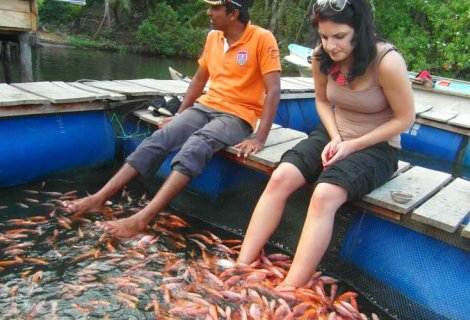 Madu River Boat Safari 