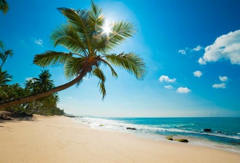 Negambo beach