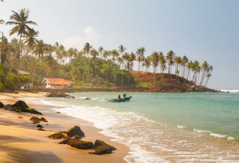Southern Beach 