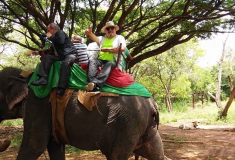 Elephant Back Ride
