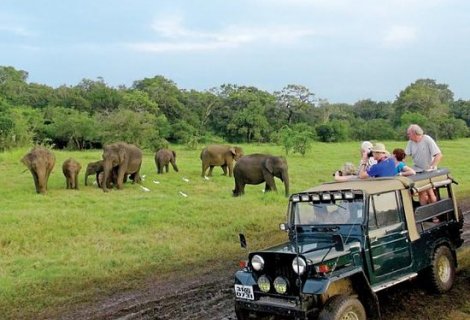 yala safari