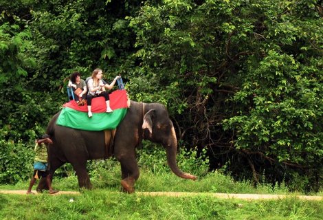Elephant Back Ride