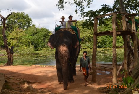Elephant Back Safari