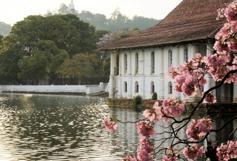 Kandy City