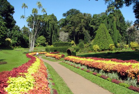 Botanical Garden