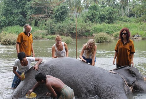 Pinnawela Elephant Orphanage 