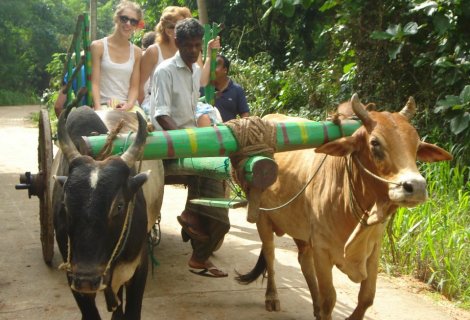 Village Tour